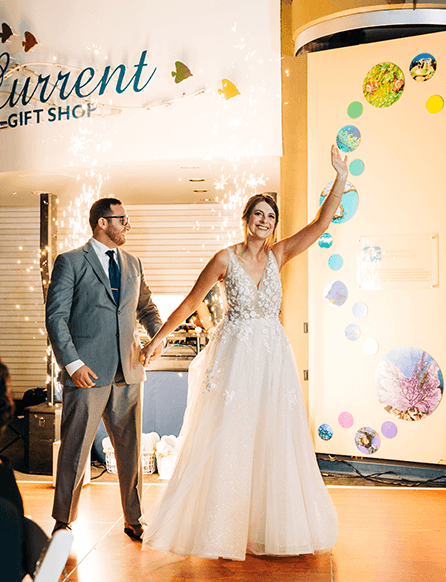 Moxie In Action Weddings Gallery 1